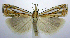  ( - jflandry0466)  @14 [ ] Copyright (2007) Unspecified Canadian National Collection