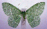  ( - jflandry0573)  @14 [ ] Copyright (2007) Unspecified Canadian National Collection