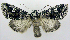  ( - jflandry0586)  @14 [ ] Copyright (2007) Unspecified Canadian National Collection