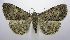  ( - jflandry0612)  @14 [ ] Copyright (2007) Unspecified Canadian National Collection