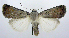  ( - jflandry0404)  @14 [ ] Copyright (2007) Unspecified Canadian National Collection