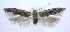  ( - jflandry0010)  @13 [ ] Copyright (2007) Unspecified Canadian National Collection