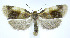  ( - jflandry0017)  @14 [ ] Copyright (2007) Unspecified Canadian National Collection