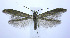  ( - jflandry0025)  @13 [ ] Copyright (2007) Unspecified Canadian National Collection
