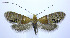  ( - jflandry0028)  @13 [ ] Copyright (2007) Unspecified Canadian National Collection