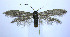  ( - jflandry0035)  @14 [ ] Copyright (2007) Unspecified Canadian National Collection