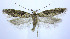  ( - jflandry0037)  @14 [ ] Copyright (2007) Unspecified Canadian National Collection