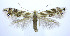  ( - jflandry0041)  @14 [ ] Copyright (2007) Unspecified Canadian National Collection