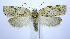  ( - jflandry0046)  @14 [ ] Copyright (2007) Unspecified Canadian National Collection