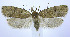  ( - jflandry0047)  @14 [ ] CreativeCommons - Attribution (2010) Unspecified Centre for Biodiversity Genomics