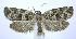  ( - jflandry0048)  @13 [ ] Copyright (2007) Unspecified Canadian National Collection