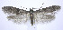  ( - jflandry0242)  @14 [ ] CreativeCommons - Attribution (2010) Unspecified Centre for Biodiversity Genomics
