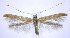  ( - jflandry0072)  @14 [ ] Copyright (2007) Unspecified Canadian National Collection