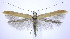  ( - jflandry0073)  @14 [ ] Copyright (2007) Unspecified Canadian National Collection