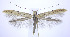  ( - jflandry0219)  @14 [ ] Copyright (2007) Unspecified Canadian National Collection