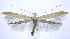  ( - jflandry0221)  @14 [ ] Copyright (2007) Unspecified Canadian National Collection