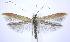  ( - jflandry0223)  @14 [ ] Copyright (2007) Unspecified Canadian National Collection