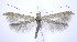  ( - jflandry0224)  @14 [ ] Copyright (2007) Unspecified Canadian National Collection