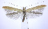  ( - jflandry0228)  @14 [ ] Copyright (2007) Unspecified Canadian National Collection