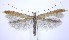  ( - jflandry0229)  @14 [ ] Copyright (2007) Unspecified Canadian National Collection
