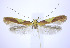  ( - jflandry0226)  @13 [ ] Copyright (2007) Unspecified Canadian National Collection