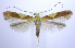  ( - jflandry0227)  @13 [ ] Copyright (2007) Unspecified Canadian National Collection
