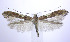  ( - jflandry0168)  @14 [ ] Copyright (2007) Unspecified Canadian National Collection