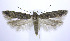  ( - jflandry0234)  @14 [ ] Copyright (2007) Unspecified Canadian National Collection