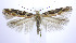  ( - jflandry0062)  @14 [ ] Copyright (2007) Unspecified Canadian National Collection