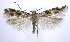  ( - jflandry0063)  @14 [ ] CreativeCommons - Attribution (2010) Unspecified Centre for Biodiversity Genomics