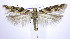  ( - jflandry0065)  @14 [ ] Copyright (2007) Unspecified Canadian National Collection