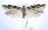  ( - jflandry0247)  @13 [ ] Copyright (2007) Unspecified Canadian National Collection