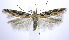  ( - jflandry0248)  @14 [ ] Copyright (2007) Unspecified Canadian National Collection