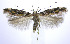  ( - jflandry0249)  @14 [ ] Copyright (2007) Unspecified Canadian National Collection