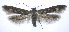  ( - jflandry0239)  @14 [ ] Copyright (2007) Unspecified Canadian National Collection