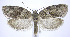  ( - jflandry0292)  @14 [ ] Copyright (2007) Unspecified Canadian National Collection