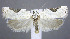  ( - jflandry0315)  @14 [ ] Copyright (2007) Unspecified Canadian National Collection