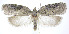  ( - jflandry0157)  @14 [ ] Copyright (2007) Unspecified Canadian National Collection