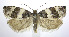 ( - jflandry0314)  @14 [ ] Copyright (2007) Unspecified Canadian National Collection