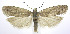  ( - jflandry0163)  @14 [ ] CreativeCommons - Attribution (2010) Unspecified Centre for Biodiversity Genomics