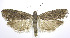  ( - jflandry0164)  @14 [ ] CreativeCommons - Attribution (2010) Unspecified Centre for Biodiversity Genomics