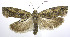  ( - jflandry0170)  @14 [ ] Copyright (2007) Unspecified Canadian National Collection