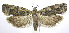  ( - jflandry0158)  @14 [ ] Copyright (2007) Unspecified Canadian National Collection