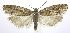  ( - jflandry0155)  @13 [ ] CreativeCommons - Attribution (2010) Unspecified Centre for Biodiversity Genomics