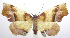  ( - jflandry0298)  @14 [ ] Copyright (2007) Unspecified Canadian National Collection