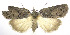 ( - jflandry0094)  @13 [ ] Copyright (2007) Unspecified Canadian National Collection