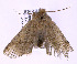  ( - jflandry0136)  @12 [ ] Copyright (2007) Unspecified Canadian National Collection