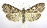  ( - jflandry0181)  @14 [ ] Copyright (2007) Unspecified Canadian National Collection