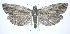  ( - jflandry0317)  @14 [ ] CreativeCommons - Attribution (2010) Unspecified Centre for Biodiversity Genomics