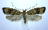  ( - jflandry0543)  @14 [ ] CreativeCommons - Attribution (2010) Unspecified Centre for Biodiversity Genomics